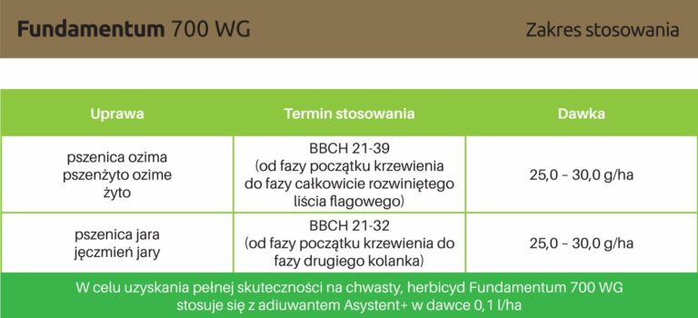 Fundamentum herbicyd do zwalczania chwastów dwuliściennych w zbożach