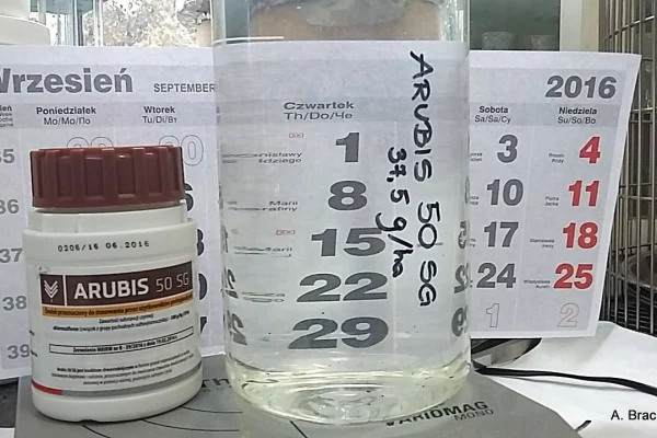 Chlorosulfuron w SG – idealne rozpuszczanie!