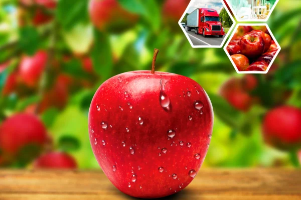 FRUITSMART DOBRY TAKŻE W CHŁODNI ZWYKŁEJ
