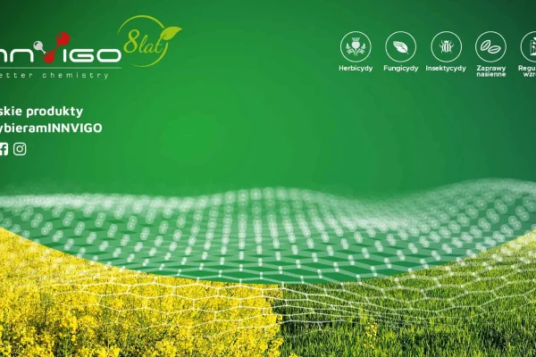 8 lat INNVIGO – sukcesy i plany