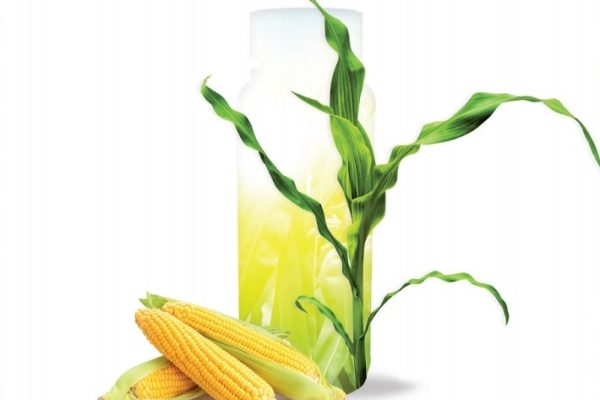 Nowe herbicydy w kukurydzy