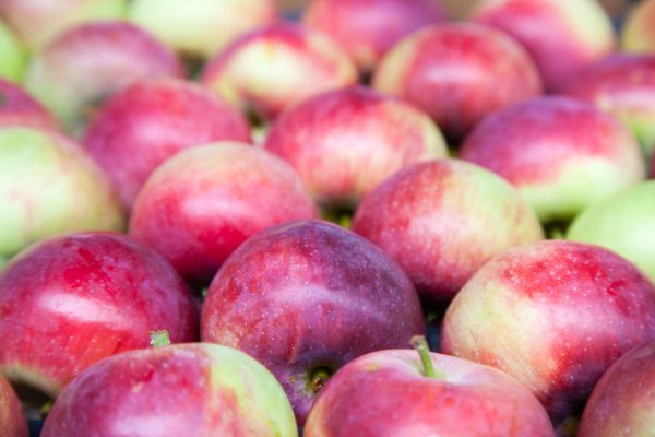 Czy polskie jabłka sprostają unijnym i rynkowym  wyzwaniom?