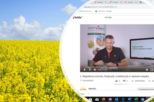 Regulacja pokroju i zabiegi fungicydowe w rzepaku