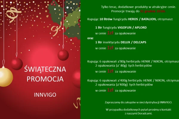 Promocje w okresie przedświątecznym