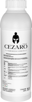 CEZARO 574 SC - wybieram INNVIGO