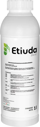 Etiuda 250 EC