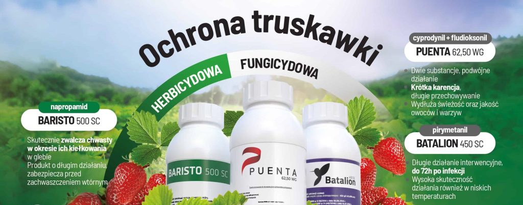 Herbicyd Baristo  SC - ochrona truskawki 