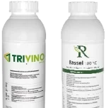 ZESTAW TRIVINO+RASSEL 17