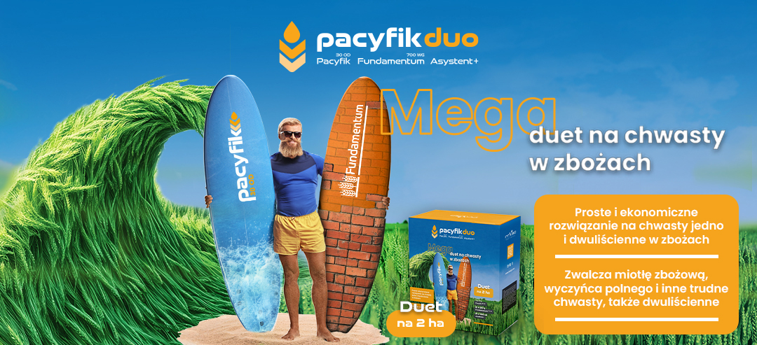 pacyfik duo na chwasty