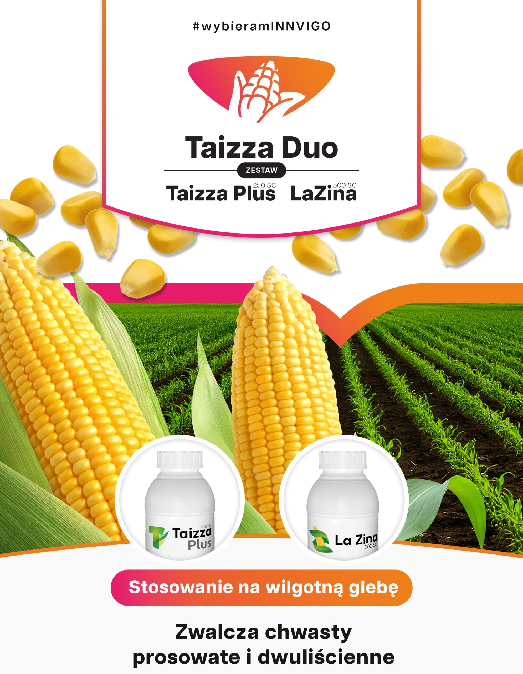 taizza duo do kukurydzy