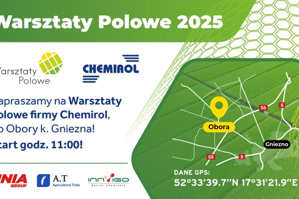 Warsztaty polowe 2025