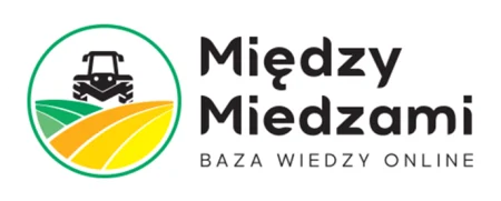 Między Miedzami