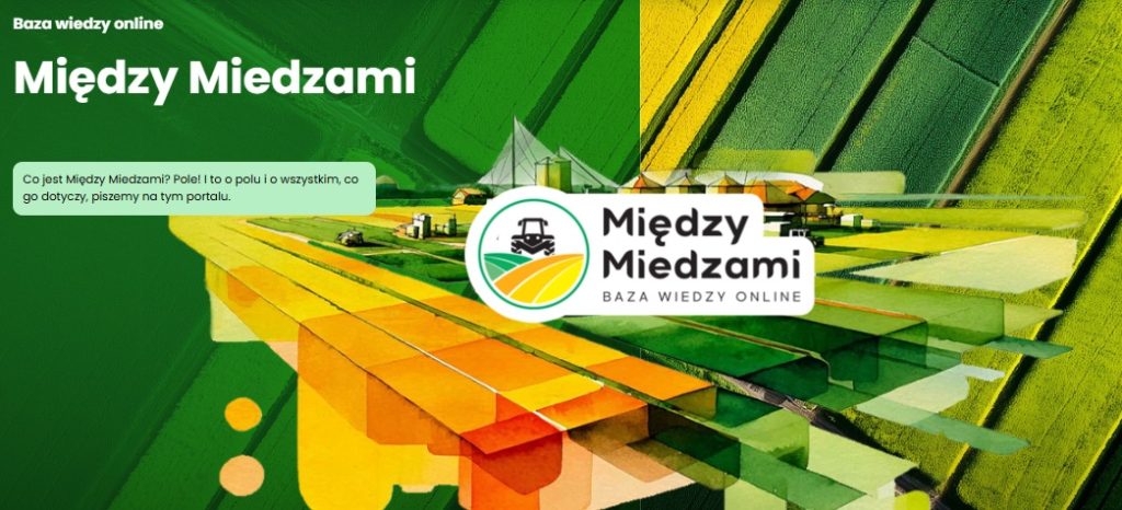 Między Miedzami