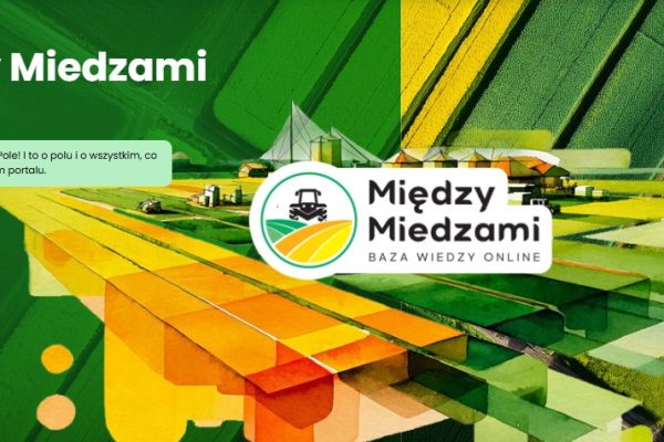 Zapraszamy na Między Miedzami