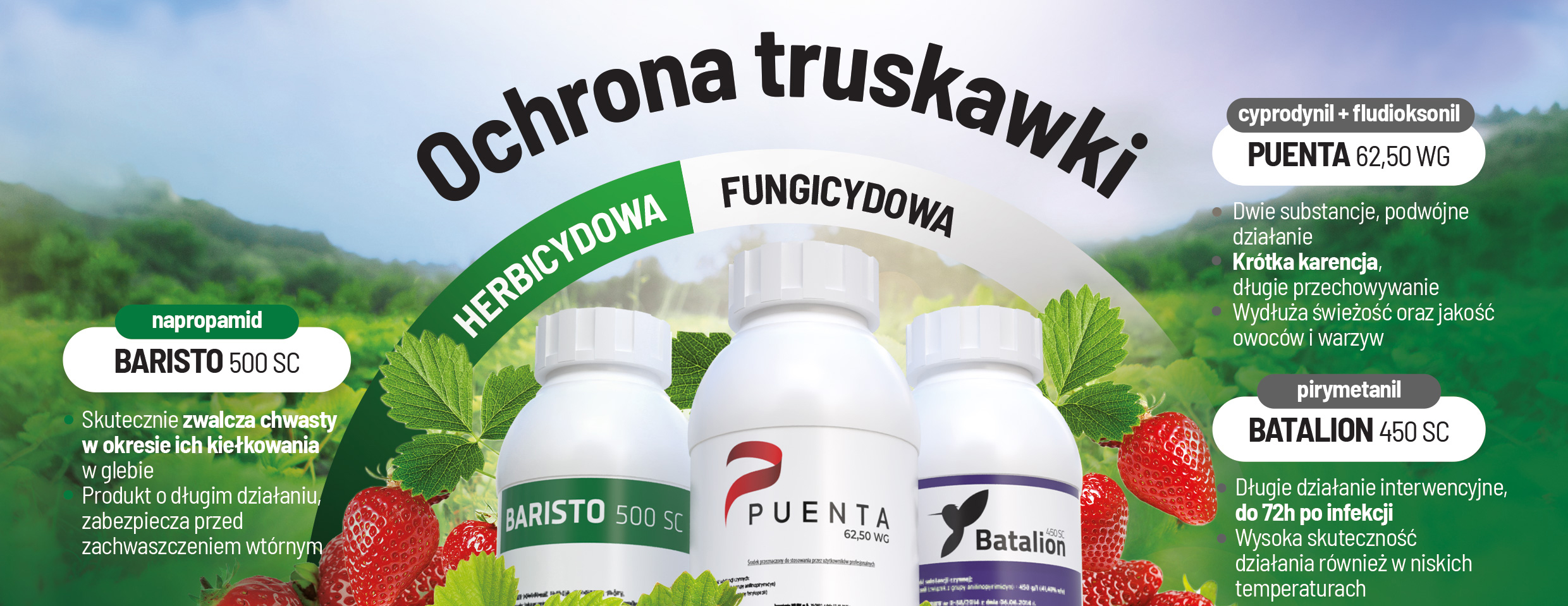 ochrona truskawki