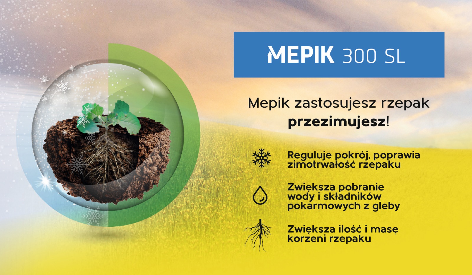 MEPIK 300 SL 3 Mepik na jesień