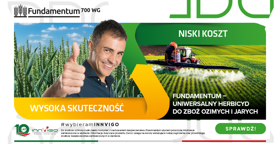 Fundamentum na chwasty