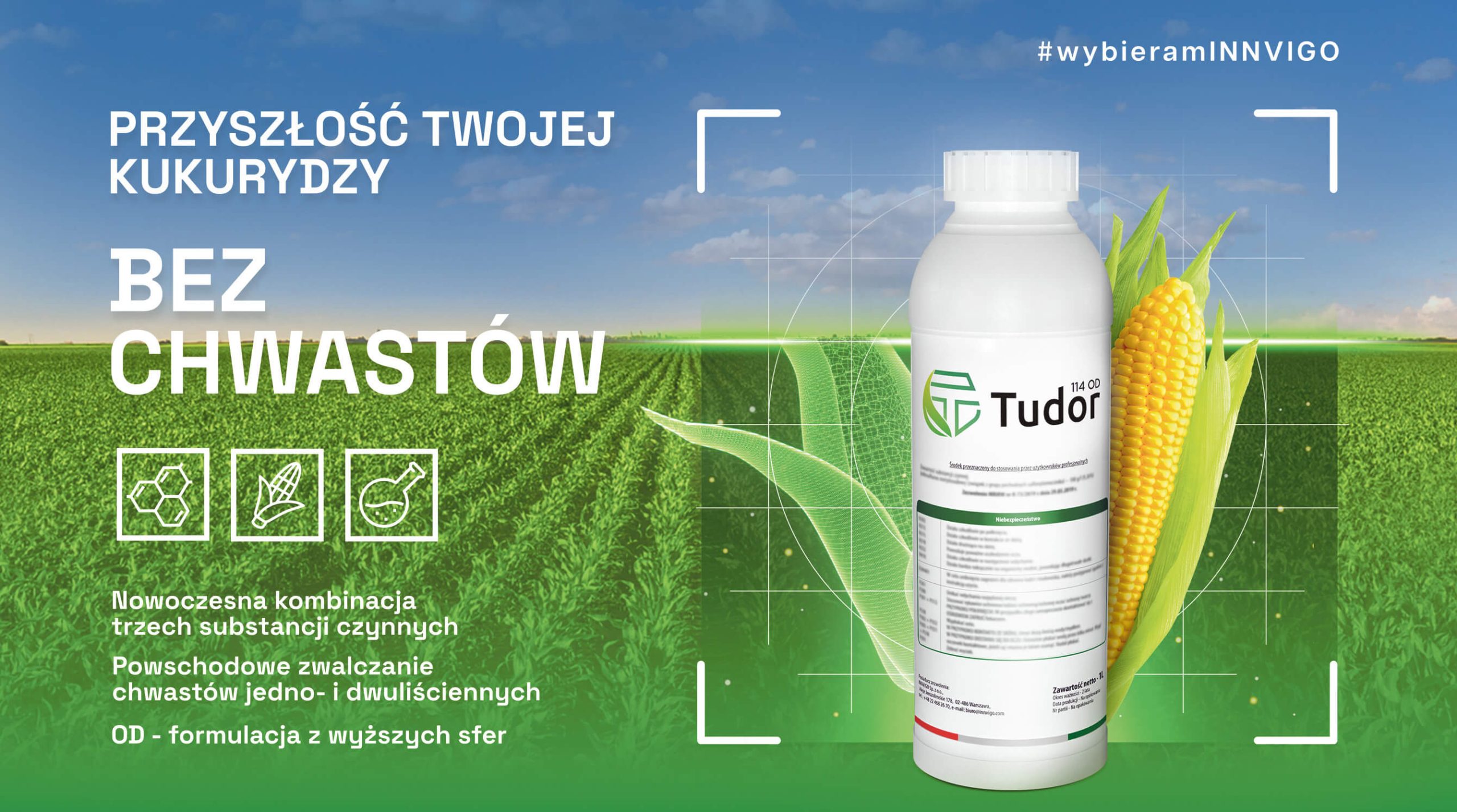 tudor_chwasty_w_kukurydzy (1)