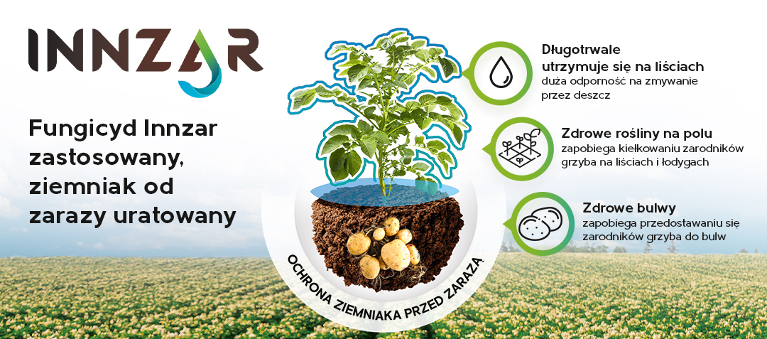 fungicyd do ziemniaków
