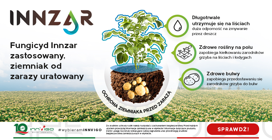 Innzar fungicyd ziemniaków