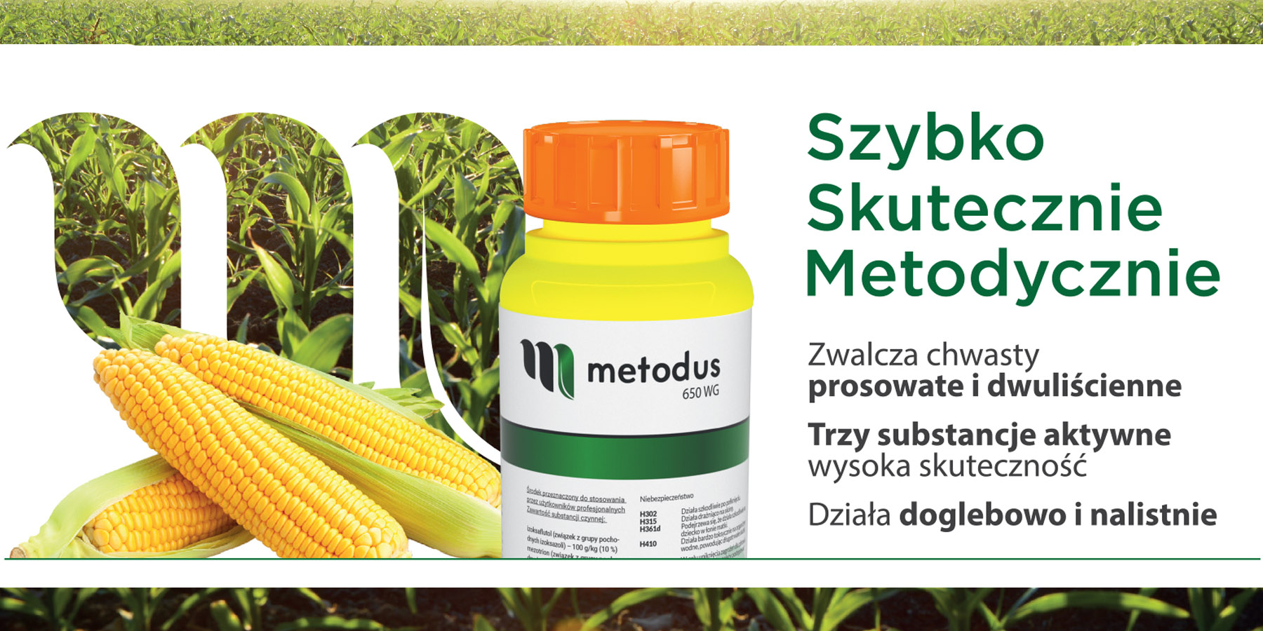 metodus na chwasty w kukurydzy