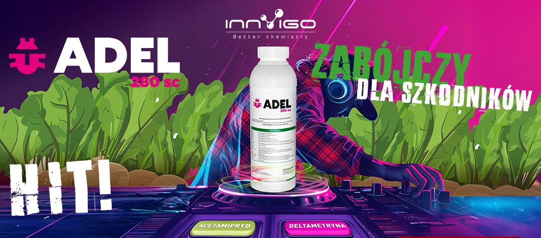 adel na insekty