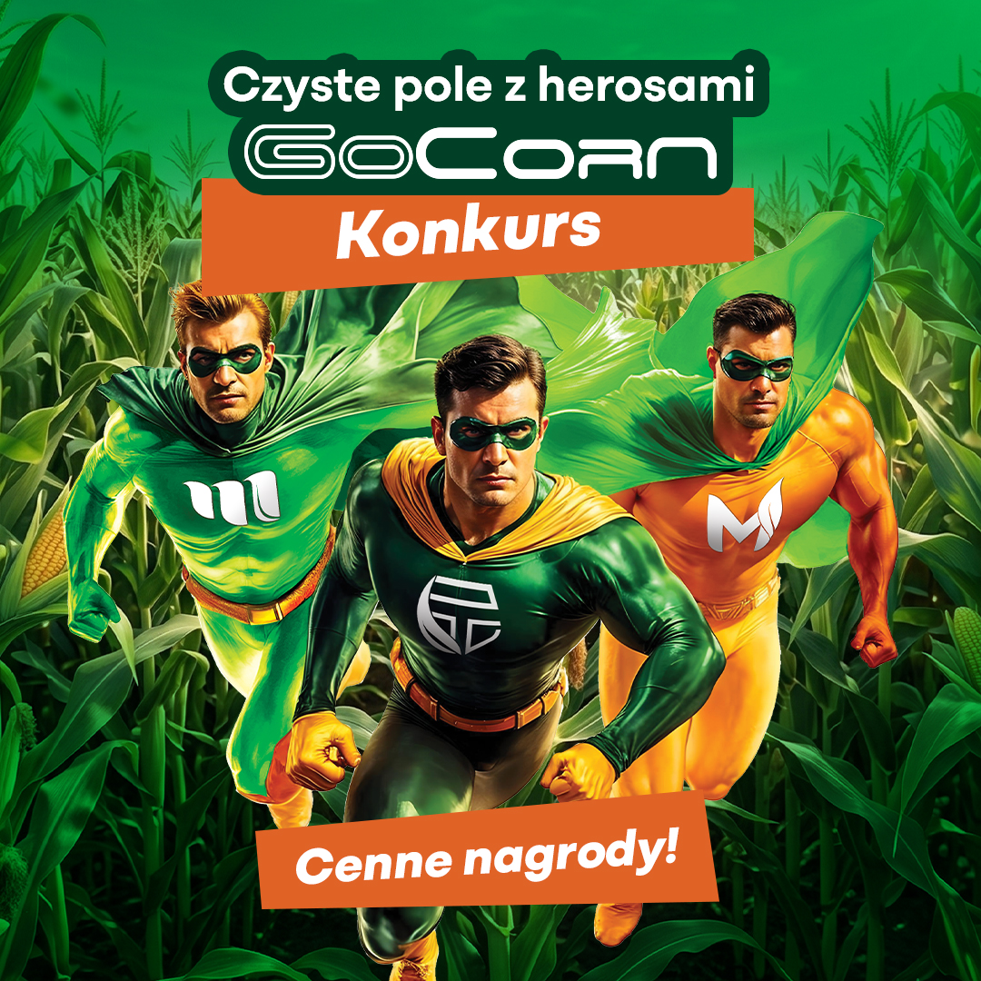 Konkurs GoCorn!
