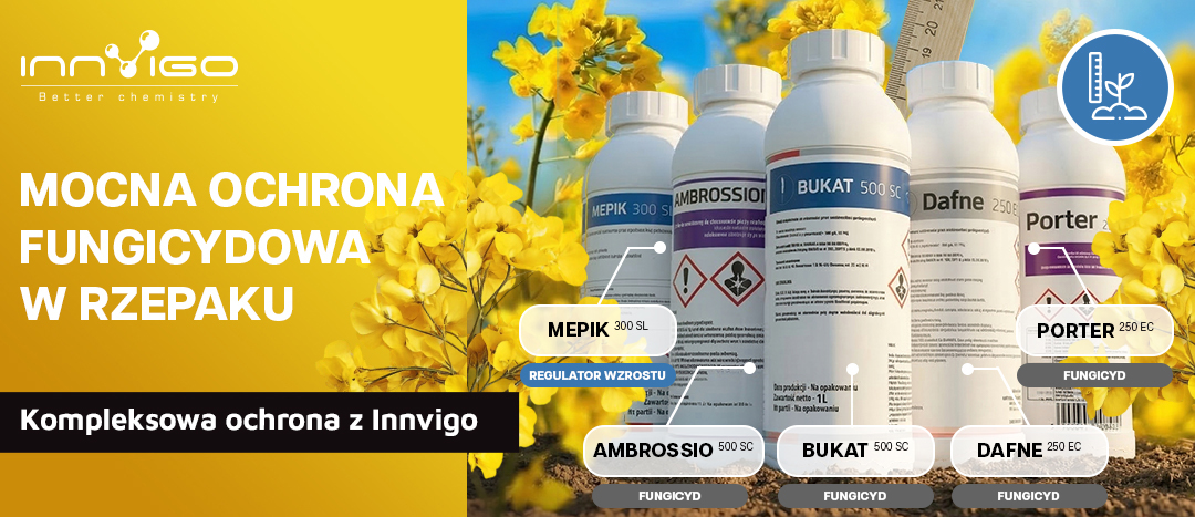 mocna ochrona rzepaku
