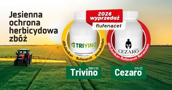 Wyprzedaż Trivino i Cezaro – ostatnia okazja na jesienną ochronę zbóż z flufenacetem