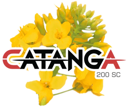 Catanga