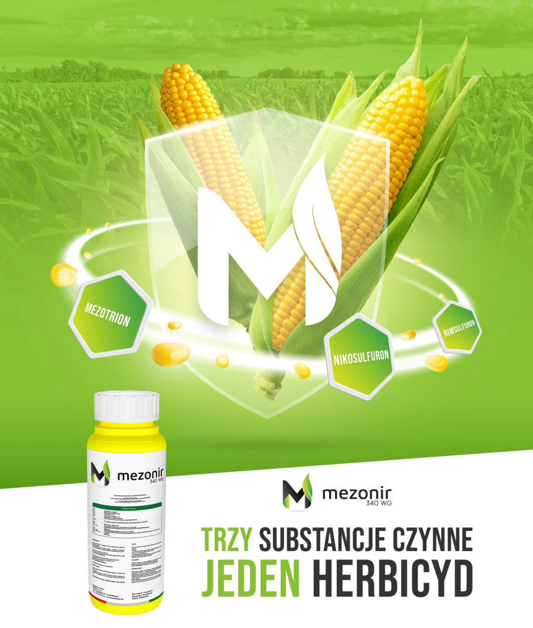 Zwalczanie chwastów w kukurydzy - herbicyd Meznornir 340 WG