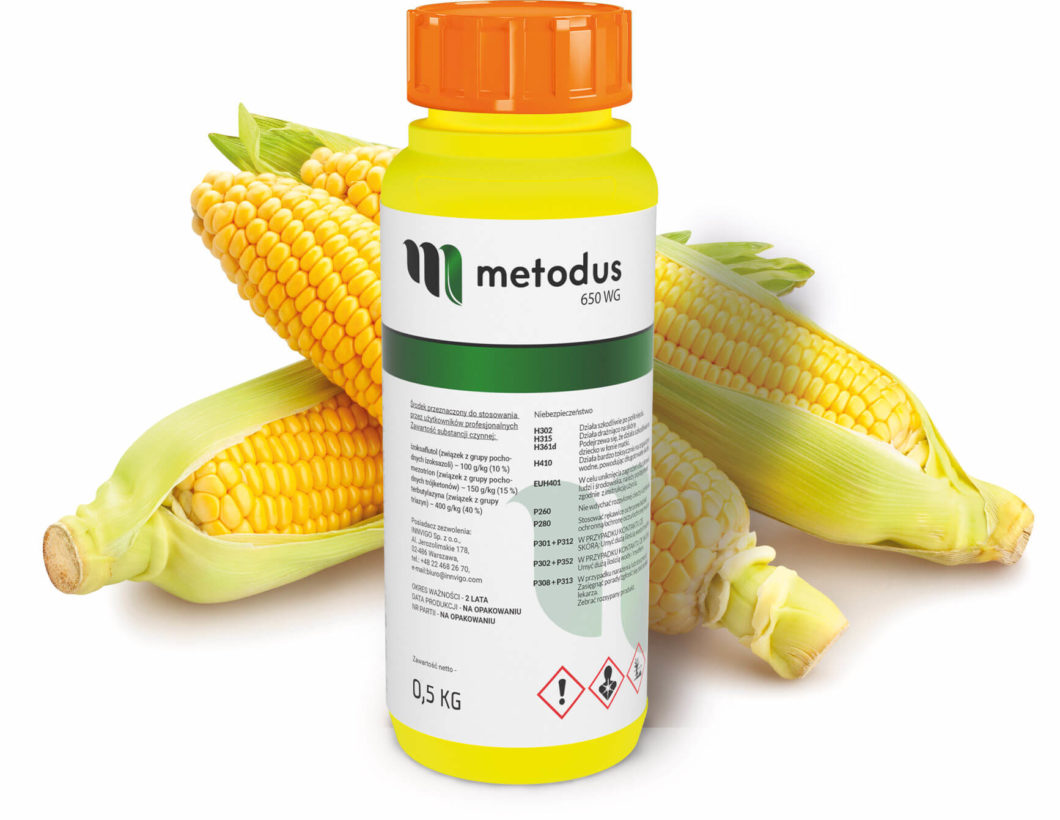 Herbicyd Metodus 650 WG - oprysk na chwasty w kukurydzy